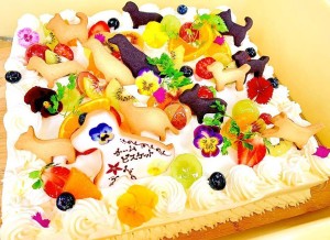 46960597_1954846371275679_6097323873357791232_n