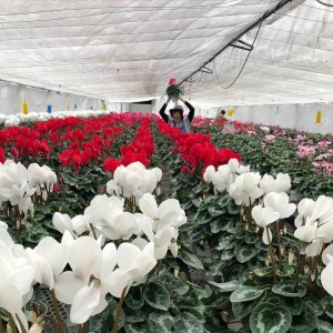 47073694_2060523620677489_2993693025374306304_n