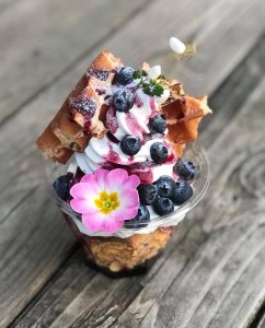 32293432_1688956811197971_3649960338826199040_n