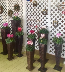 47308759_1207710152710893_4213976633842860032_n