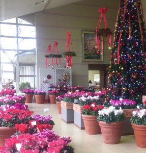 47573917_1207710109377564_1334505106904711168_n