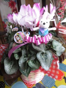 48225592_297532694214127_6825841783792992256_n