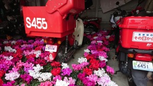 48257097_1991976320880424_8399375547435581440_n