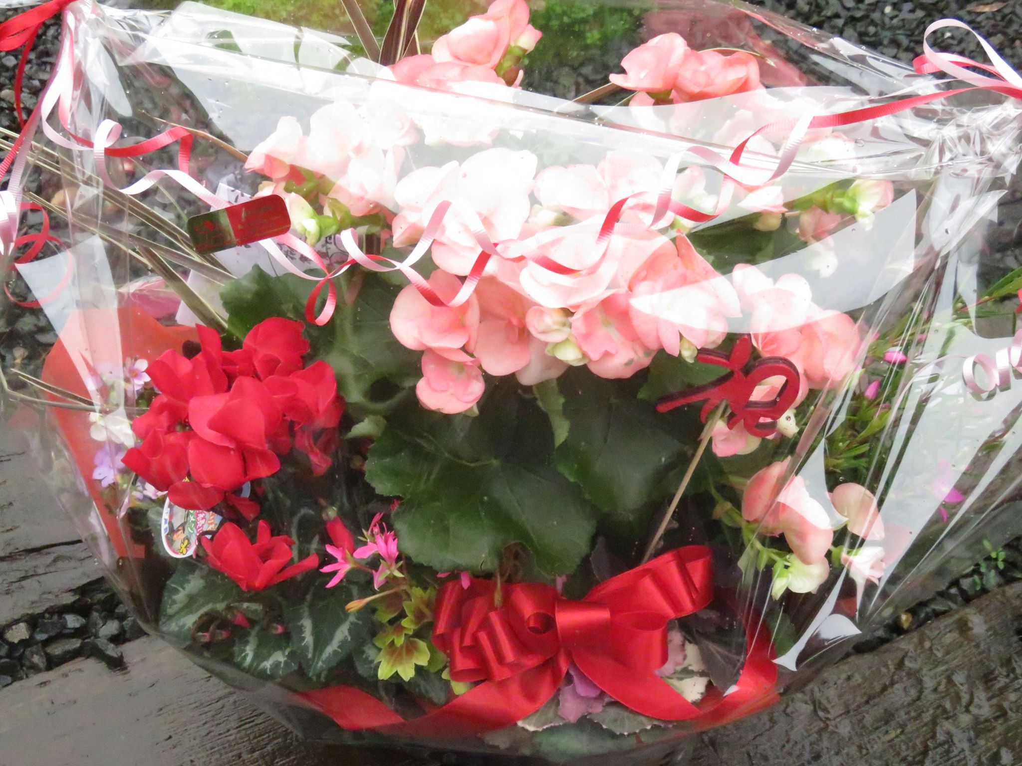 フラワーンダフルバスケット続々☆