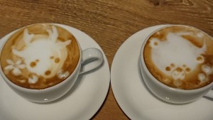 48368761_332196317600255_1607489594696138752_n