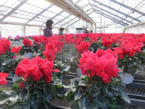 48374066_1962797387356717_6834572009196748800_n