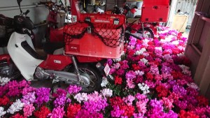 48378091_1991976290880427_4692967565834584064_n