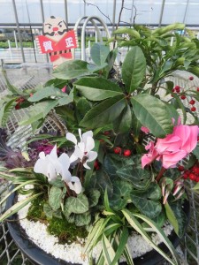 48411986_264708314224393_8884539245079822336_n