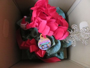 48415299_2217147908555113_3467339291472953344_n