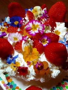 48416374_298823084103062_1069605581515390976_n