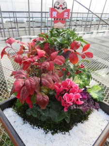 48417296_2095876410667683_4220043953753292800_n