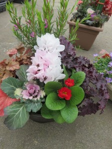 48421813_2192143404343920_5320070462208737280_n