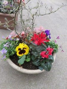 48948575_531110264056686_1474180630236364800_n