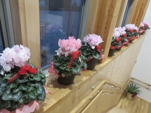 49043072_2012890638788992_9126405170098339840_o