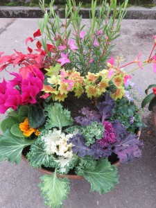 49107918_379164449556808_7687424107545100288_n