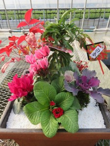 49174368_212683412942006_1822685318994722816_n