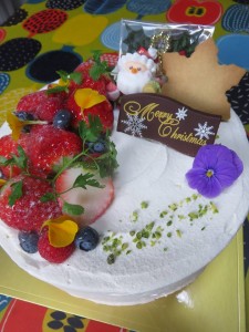 49196495_369842663577148_499648595109085184_n