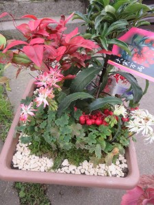 49200039_236253277304629_1509113832637726720_n