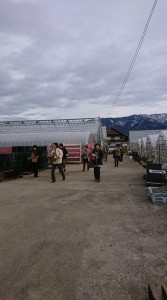 49485833_463042687433285_8106094800844881920_n