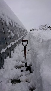 27067766_1580051525406241_1785976268153869568_n