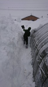 27718598_1592108300867230_944441599_n1