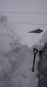 27720848_1592108384200555_320427637_n1