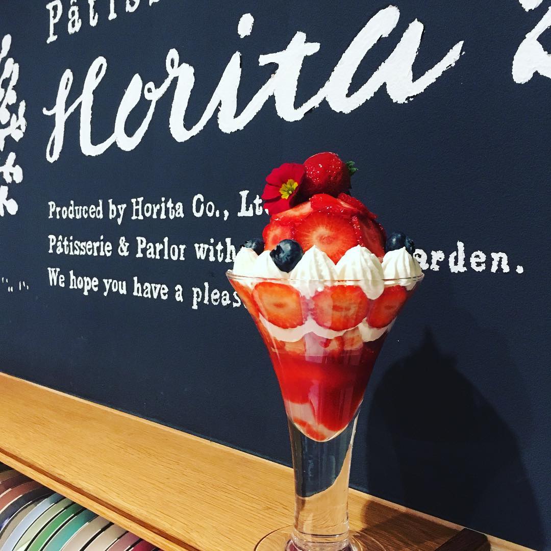 絶対に行く！！！