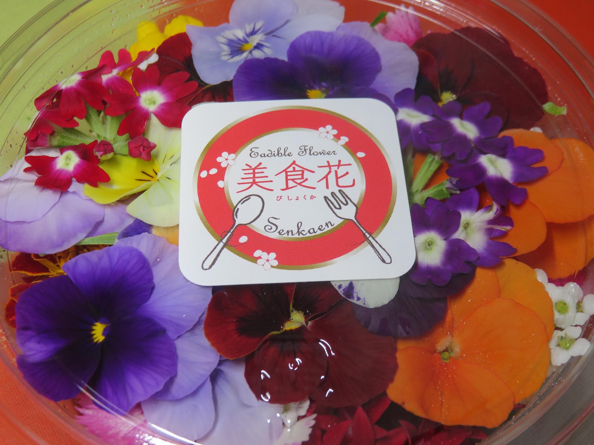 今年もありがとうございました！！