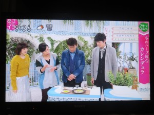 49294891_2035035559907833_8141843050600071168_o