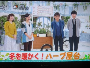 49348316_2035035209907868_3673911034973782016_o