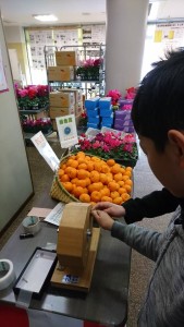 49405641_762129944143955_611159771612971008_n