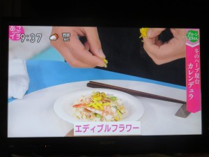 49428986_2035035716574484_3692595482741178368_o