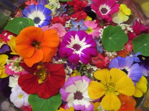 49585639_2293352920954392_4795329177802768384_n