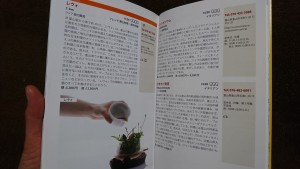 49914782_2040692089342180_7060311861027143680_o