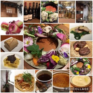 50079557_2040786419332747_6642466449988255744_n