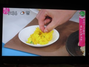 50252825_2035035576574498_505746963338100736_o