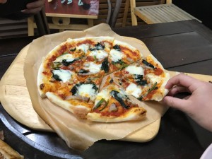 50282450_404029267026832_3092750630670827520_n