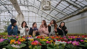 50334228_2052412864836769_427977887430213632_n