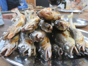 50459961_317698655518541_8487976015467905024_n