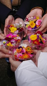 50605831_2052413014836754_1749315560908259328_n