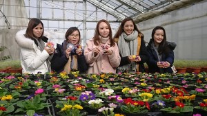 50628687_2052412724836783_4945920875913281536_n