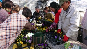 50646895_2055334441211278_5348211641982910464_n