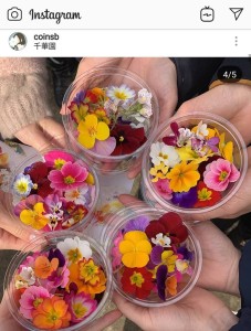 50681654_972530096275963_855013892827381760_n