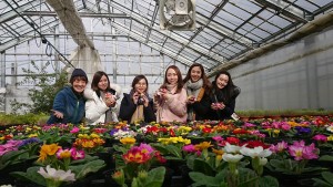 50681692_2052412761503446_4658861647148875776_n