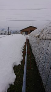 50789967_400844410668009_440456734520115200_n