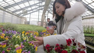 50790039_2052412638170125_871538603405082624_n