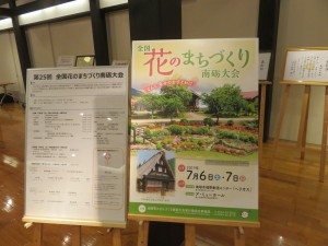 50905733_241277240147155_892198332401713152_n