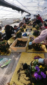 50938163_2055334507877938_6193331330319646720_n