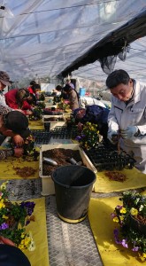 50943405_2055334484544607_2272594606518435840_n