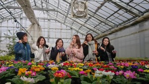 50962137_2052412814836774_6858004410165886976_n